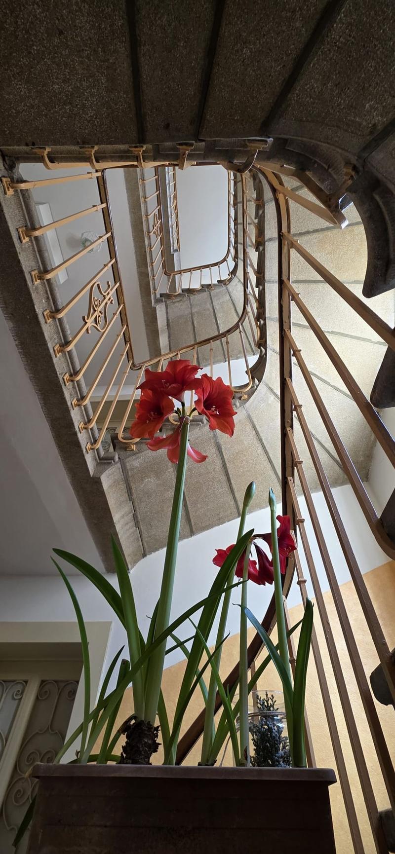 Rental Income Building in Lausanne - 8 Rented Apartments + Potential for Upward Expansion (5)