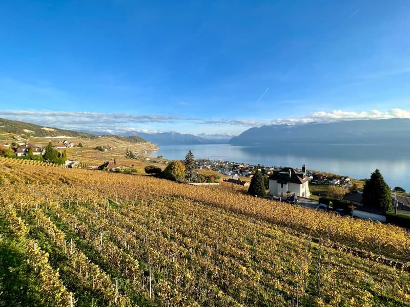 Grandvaux: Exceptional apartment with panoramic views (1)