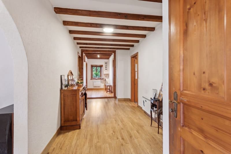 Mézières - House with two apartments, charm and tranquility (6)