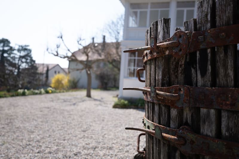 La Demeure au Marronnier - An exceptional property in the heart of the Vaud vineyard (13)