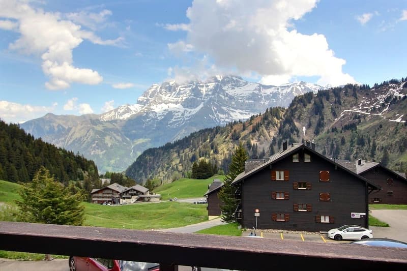 Zweieinhalb-Zimmer-Wohnung mit 25 m² Terrasse gegenüber den Dents du Midi (1)
