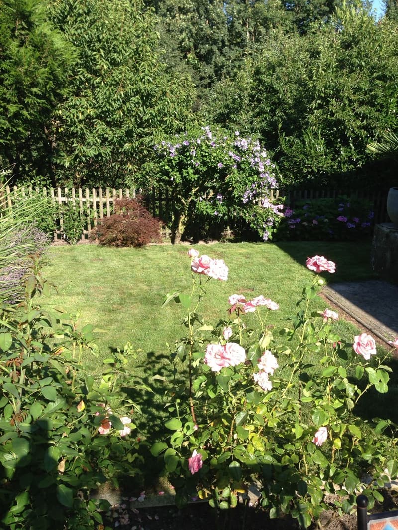 Rare opportunity: house in the center of Cossonay with garden (2)