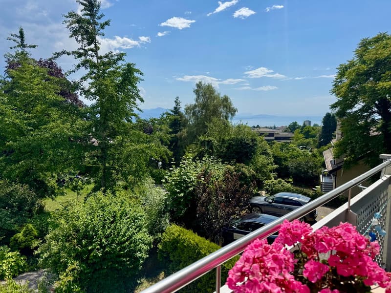 Edificio residenziale con 5 appartamenti e potenziale di sopraelevazione a Lausanne Chailly (1)