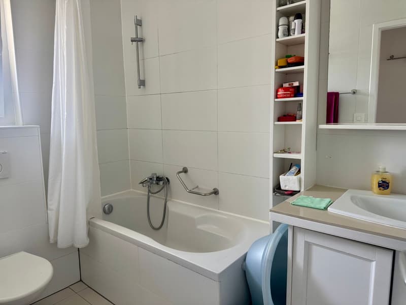 Immeuble résidentiel de 5 appartements avec potentiel de surélévation à Lausanne Chailly (12)