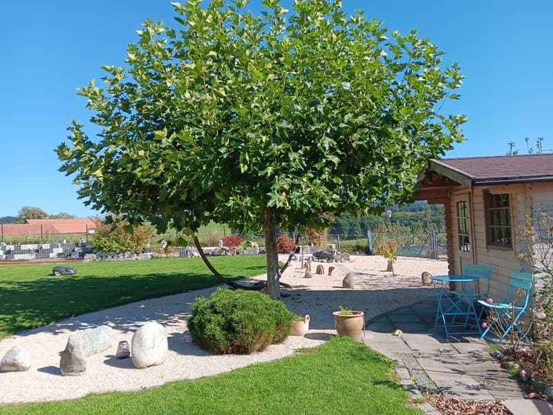 URSY - Magnifique maison contemporaine à Mossel (11)