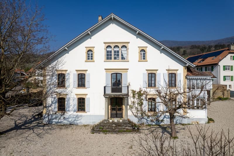 The Chestnut Tree Estate - An exceptional property in the heart of the Vaud vineyard (10)