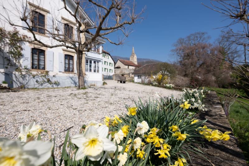 The Chestnut Tree Estate - An exceptional property in the heart of the Vaud vineyard (2)