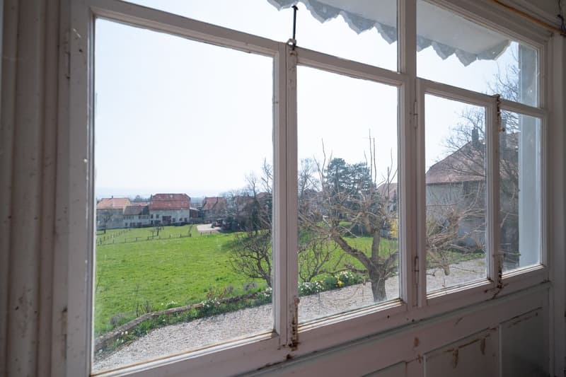 The Chestnut Tree Estate - An exceptional property in the heart of the Vaud vineyard (4)