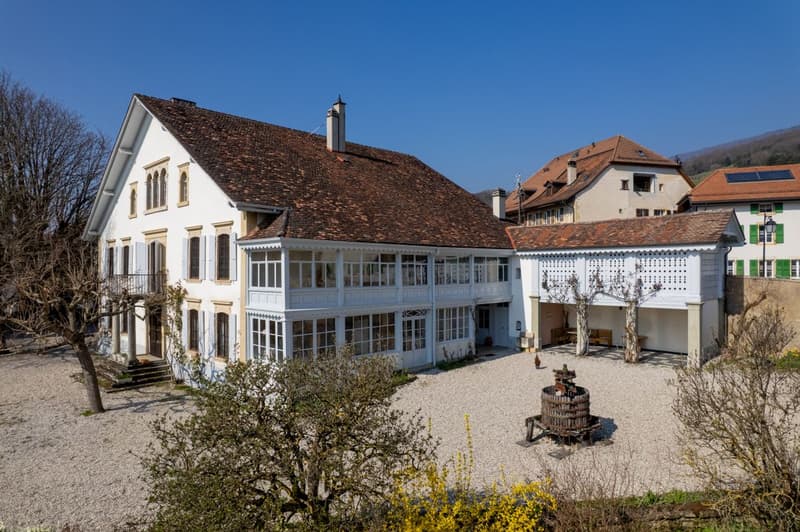 The Chestnut Tree Estate - An exceptional property in the heart of the Vaud vineyard (6)
