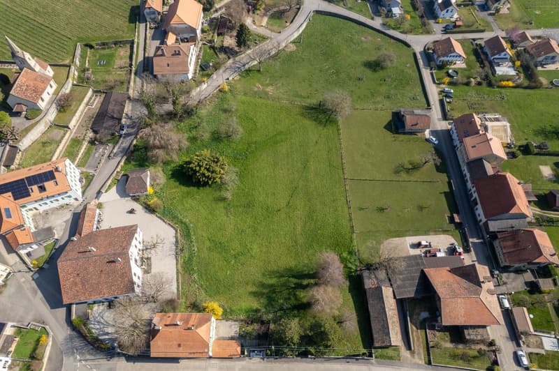 The Chestnut Tree Estate - An exceptional property in the heart of the Vaud vineyard (9)