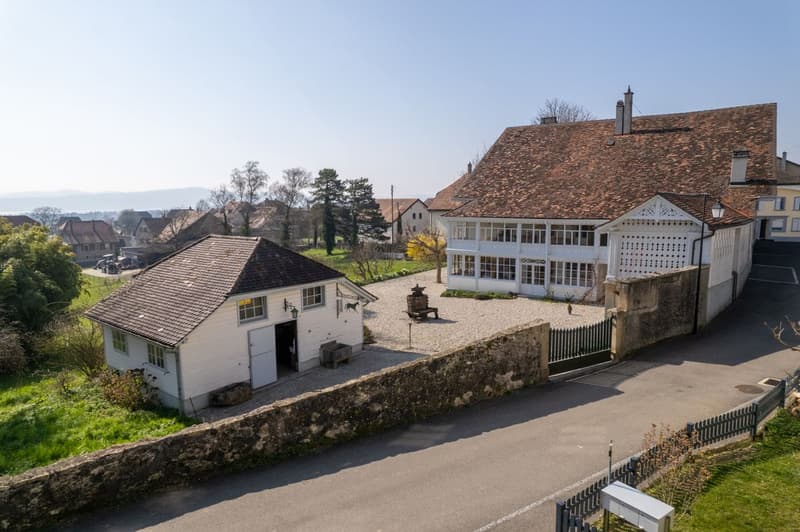 The Chestnut Tree Estate - An exceptional property in the heart of the Vaud vineyard (8)