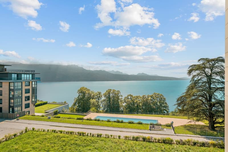 Superbe appartement meublé de luxe avec vue à Puidoux -Chexbres (1)