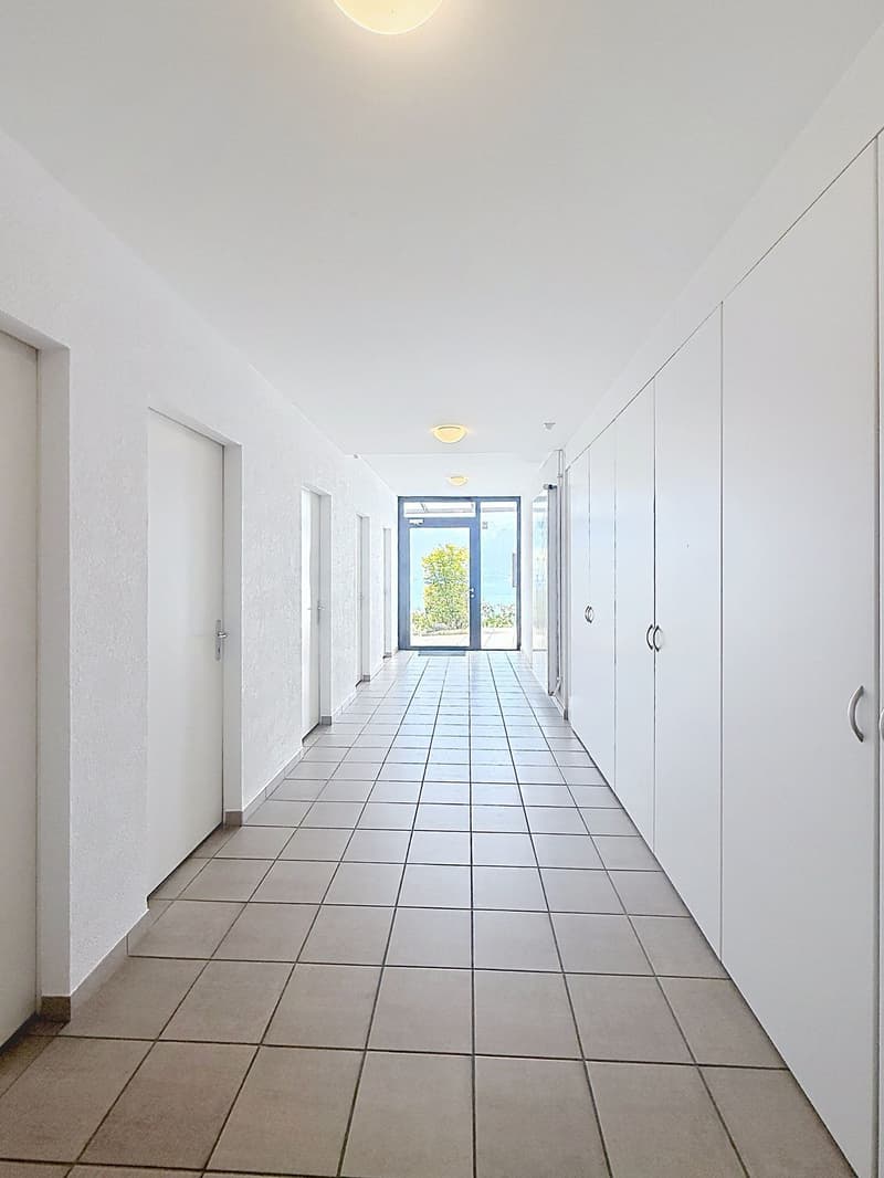 Un appartement baigné de lumière, une terrasse panoramique et une vue à couper le souffle sur le lac. (2)