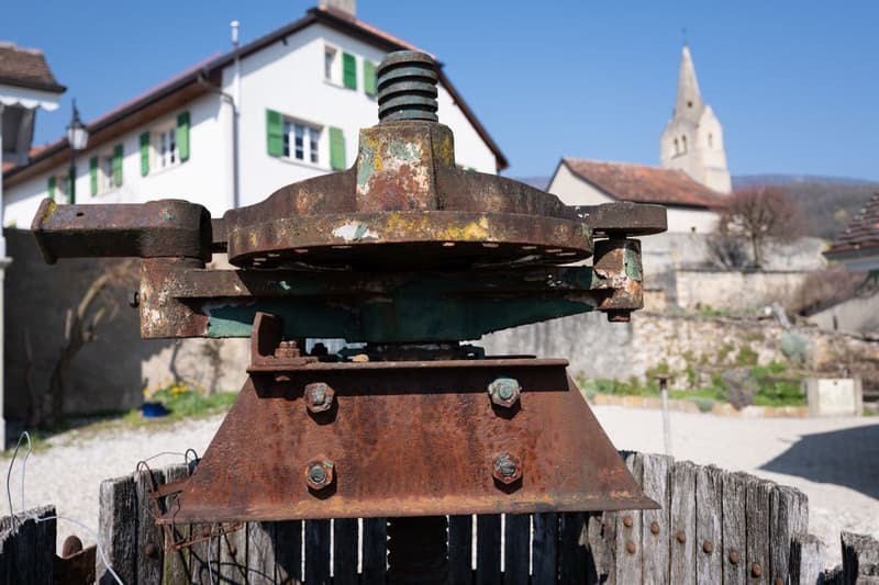 La Demeure au Marronnier - Une propriété d'exception au coeur du vignoble vaudois (2)