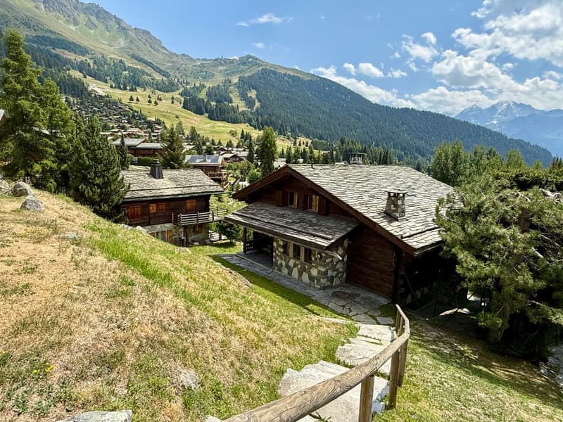 Exclusivité - Propriété rare - Splendide chalet et grande parcelle constructible (1)