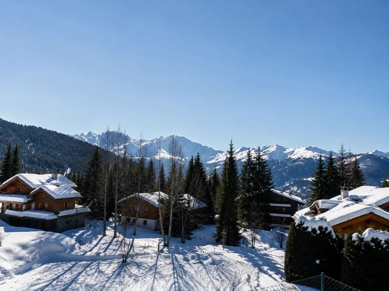 Exclusivité - Propriété rare - Splendide chalet et grande parcelle constructible (2)