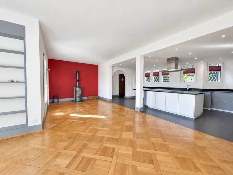Appartement de charme de 4,5 pièces, terrasse, jardin et splendide vue sur le lac ! (2)