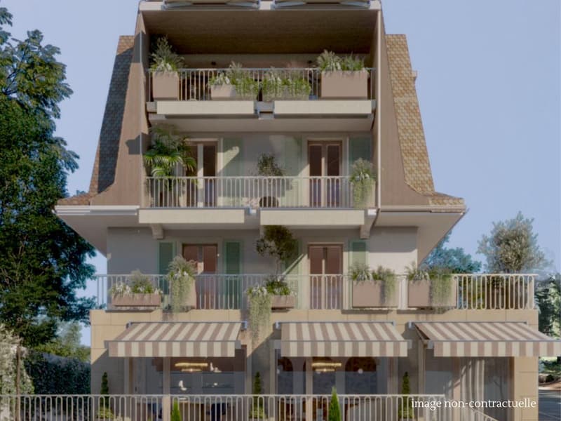 Pully - Duplex en attique d'exception (2)