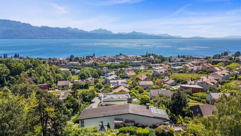 Vue Panoramique