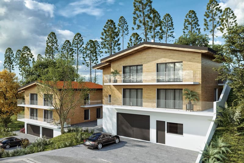 Projet pour 2 chalets - 1 appartement déjà vendu