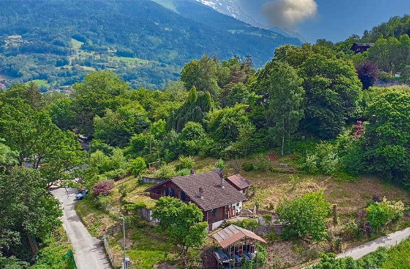 Terrain boisé