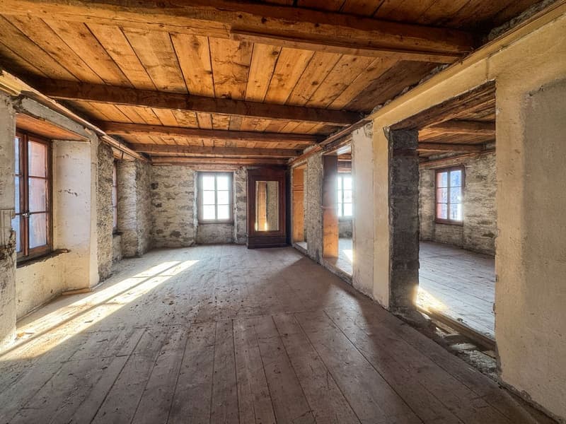 Immeuble à rénover selon vos goûts et besoins. (6)