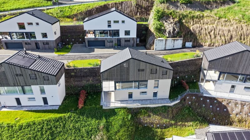 Villa individuale di 4,5 locali con bella vista sulla pianura (1)