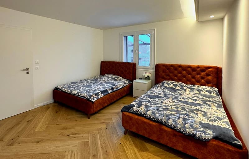 Zweifamilienhaus mit 6,5 Zimmern (13)