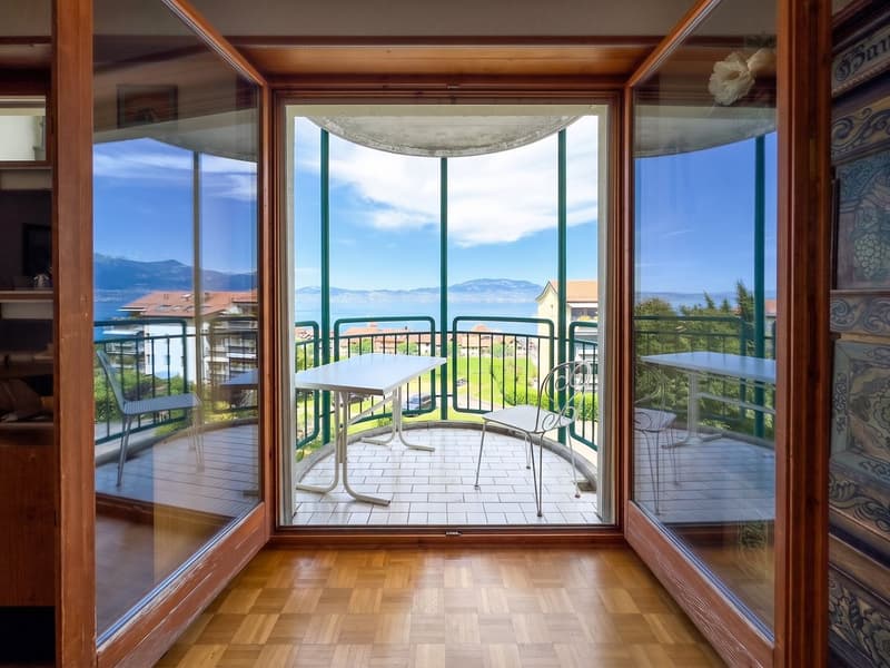 Overlooking Lake Geneva - 4.5 room apartment with panoramic view (6)