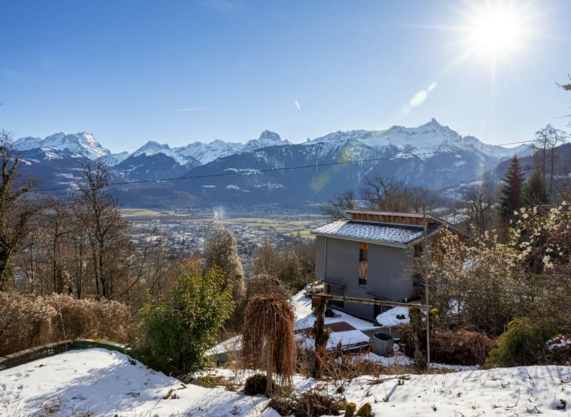 Vue Montagne