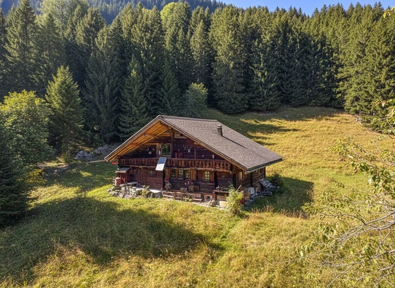 Chalet Alpin
