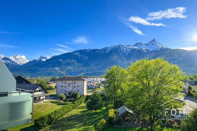 Vue Montagne