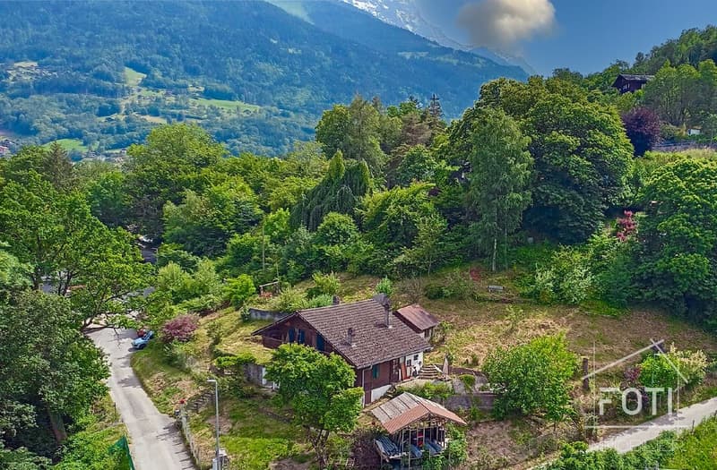 Terrain boisé