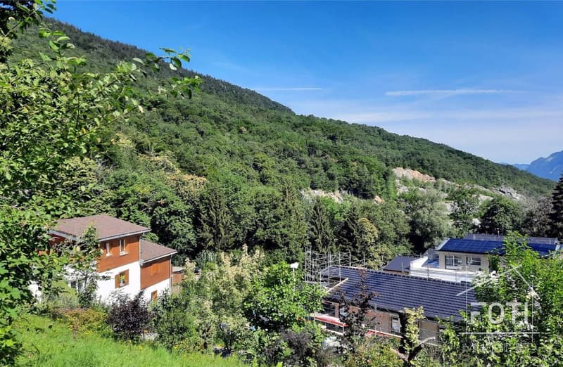 Vue Montagne