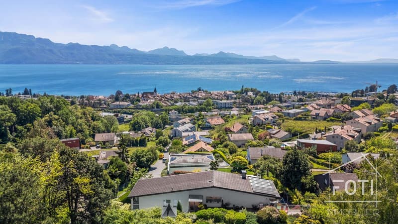 Vue Panoramique