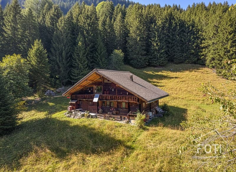 Chalet Alpin