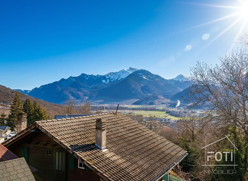 Vue Montagne