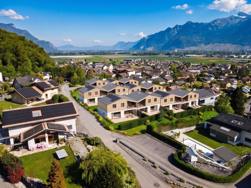 Vue Aérienne