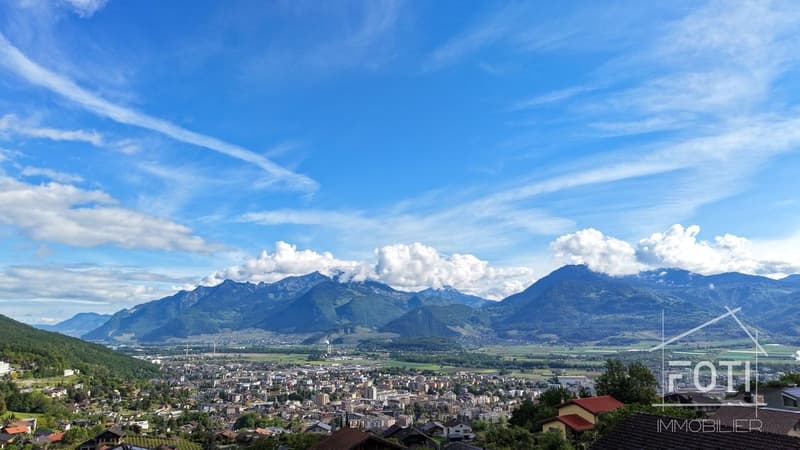 Vue Panoramique