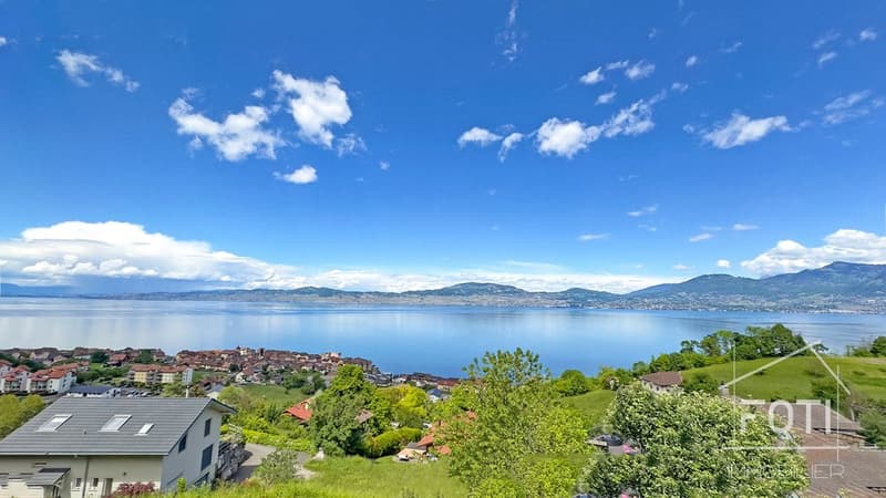 Villa d'architecte 7,5 p. vue lac Léman - St-Gingolph, ascenseur (6)