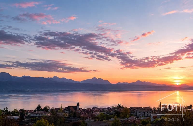 Vue panoramique sur le lac Léman et les Alpes
