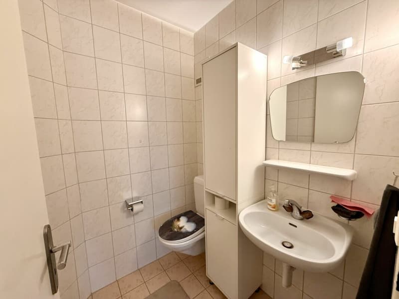 Appartement 5.5 pièce à Monthey (16)