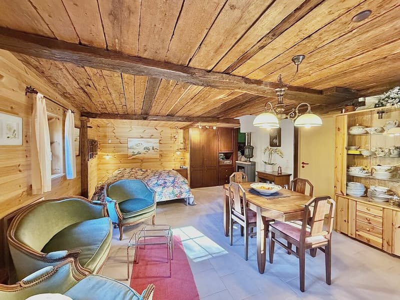 Chalet with 4.5 rooms and 5245m2 of land (7)
