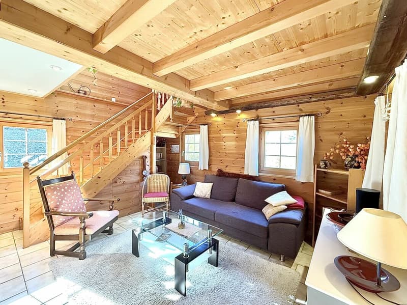 Chalet with 4.5 rooms and 5245m2 of land (11)