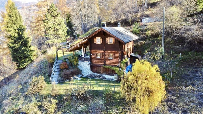 Chalet with 4.5 rooms and 5245m2 of land (1)