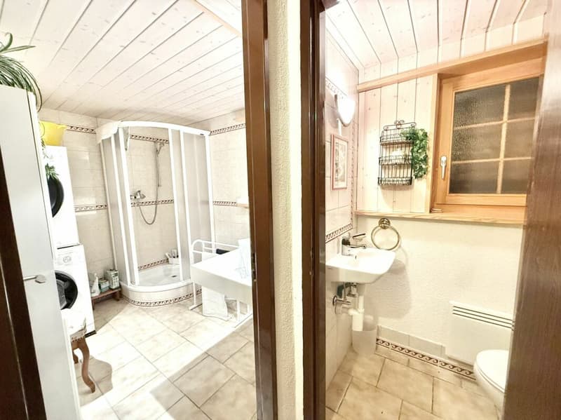 Chalet with 4.5 rooms and 5245m2 of land (20)