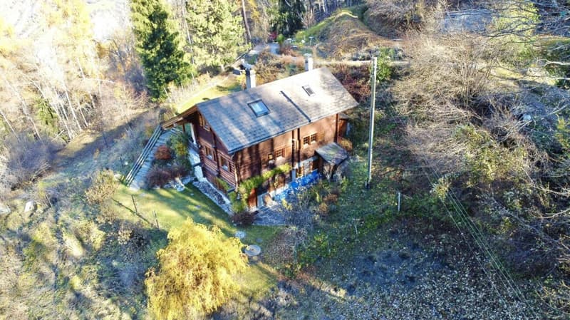 Chalet with 4.5 rooms and 5245m2 of land (2)