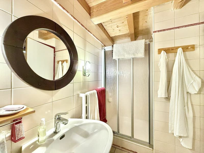 Chalet with 4.5 rooms and 5245m2 of land (14)