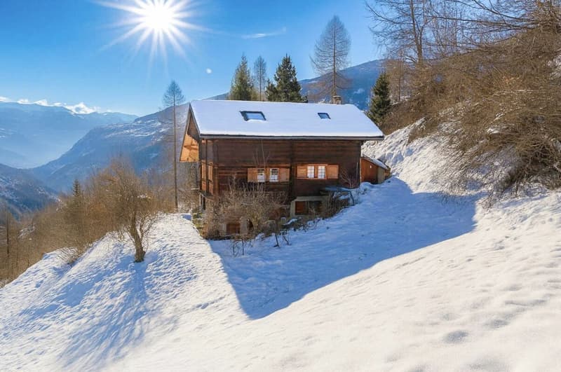 Chalet with 4.5 rooms and 5245m2 of land (25)