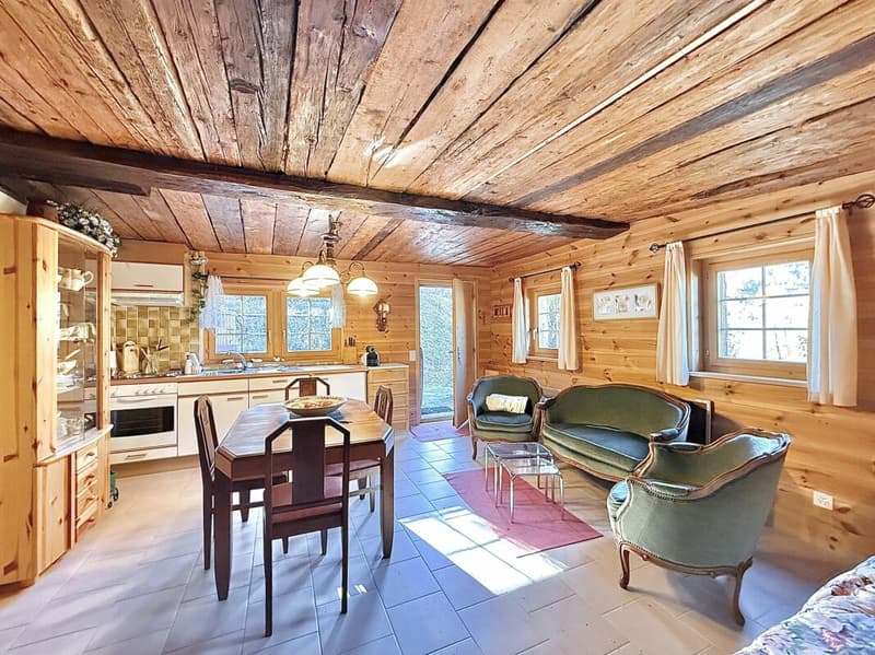 Chalet with 4.5 rooms and 5245m2 of land (8)